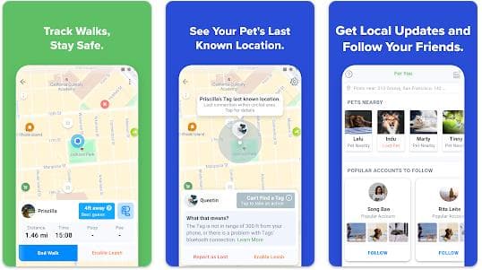Aplikasi Mencari Kucing Hilang: Pawscout Pet Finder